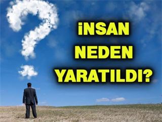 İNSAN