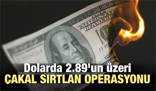 Dolarda