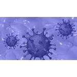 Dünya’nın imtihanı-4  Modern teknolojinin Küçük bir Virüs ile sınavı