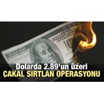 Dolarda 2.89\x27un üzeri çakal sırtlan operasyonu