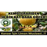 KANSER TEDAVİSİ İÇİN LİMON